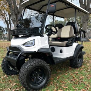 4 Seat 72V Lithium Electric Golf Cart LSV Street Legal Lifted *NEW*